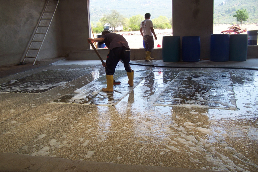 Persian Rugs cleaning London specialists in London, We offer a full and